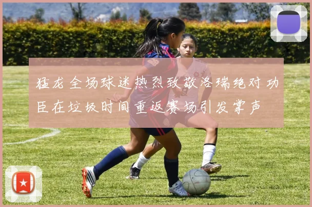 猛龙全场球迷热烈致敬洛瑞绝对功臣在垃圾时间重返赛场引发掌声