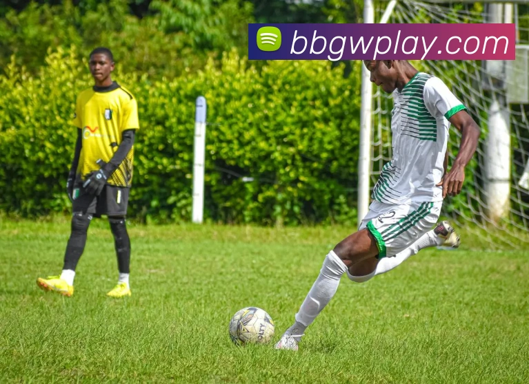 App Interface Preview