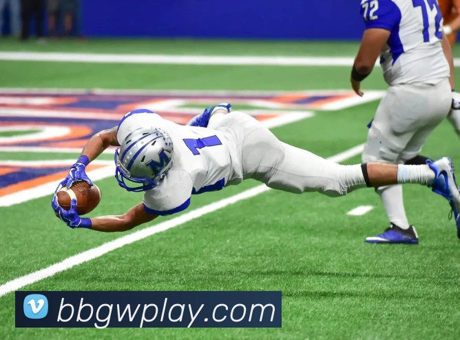 BB体育APP 封面图